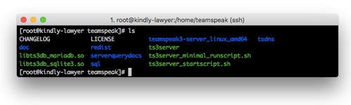 TeamSpeak 如何制作私人服务器