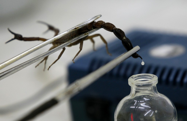 1647355121176007238.jpg the-7-most-expensive-liquids-on-the-planet-the-most-expensive-scorpion-venom-2133-billion-vnd-liter-picture-1-Fff0RyiJR.jpg