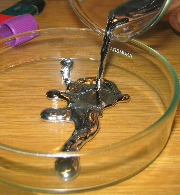 1647355187751067459.jpg the-7-most-expensive-liquids-on-the-planet-the-most-expensive-scorpion-venom-2133-billion-vnd-liter-picture-6-Vwi4r8TjY.jpg