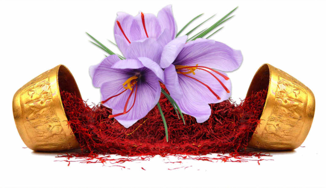 1650012705158086231.jpg what-is-saffron-what-are-the-uses-of-saffron-how-to-use-saffron-picture-4-MjvRUv9lz.jpg